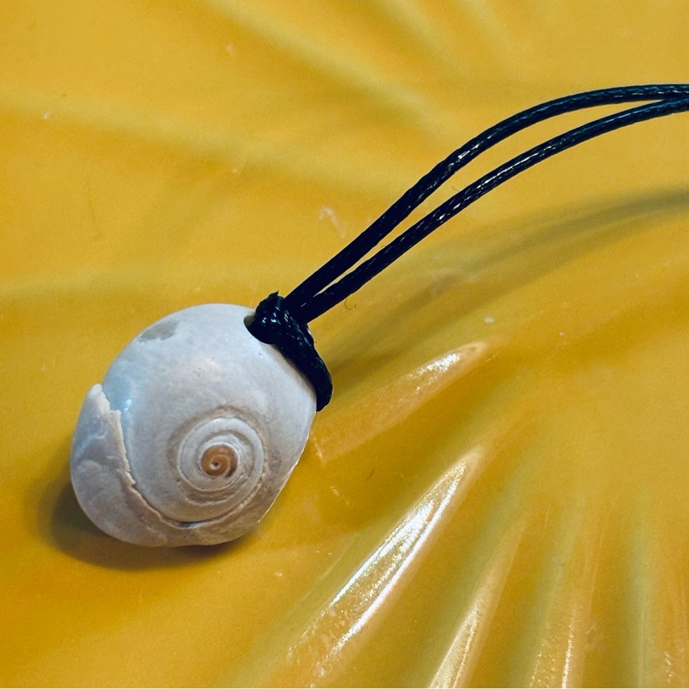 🆕 Carolina Sea Shell Swirly Choker Necklace - Picture 7 of 14